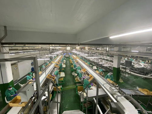 同心戰(zhàn)“疫” 光明食品集團海外疫情防控與穩(wěn)產(chǎn)保供的實踐與啟示